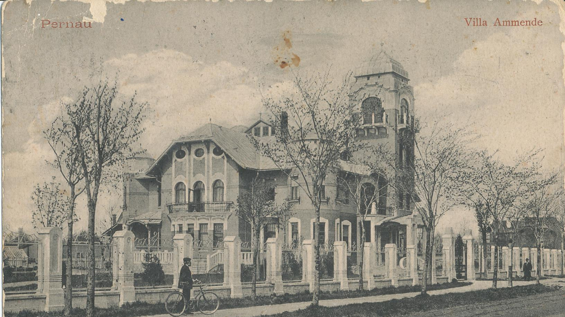 Ammende pere majatuur