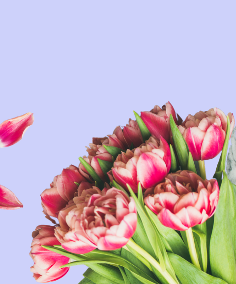 Mother’s Day Brunch in Pärnu, Villa Ammende